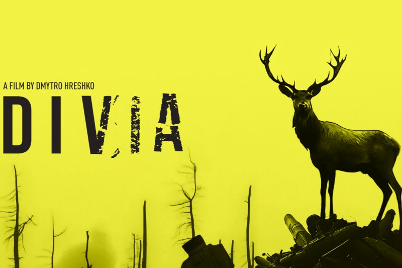 Стрічка Дмитра Грешка «Дівія» отримала нагороду за найкращий документальний фільм на Ann Arbour Film Festival